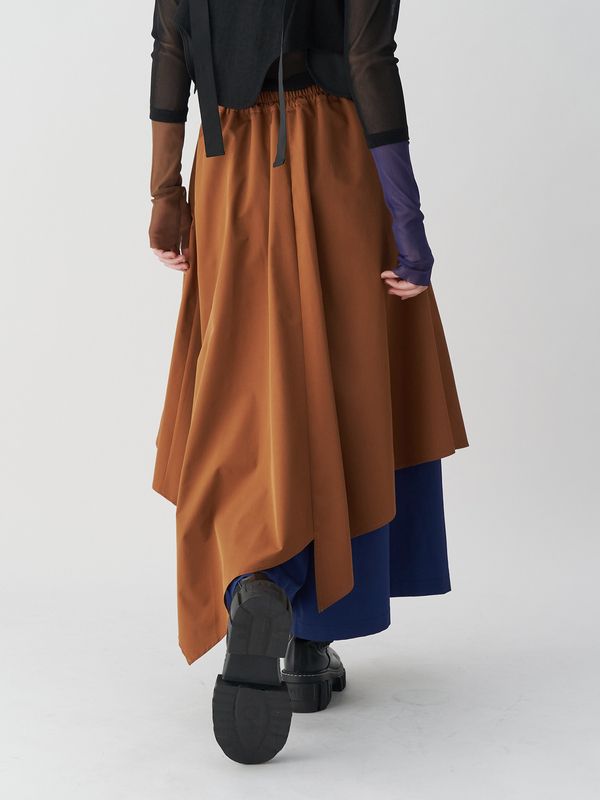 asymme layered pt