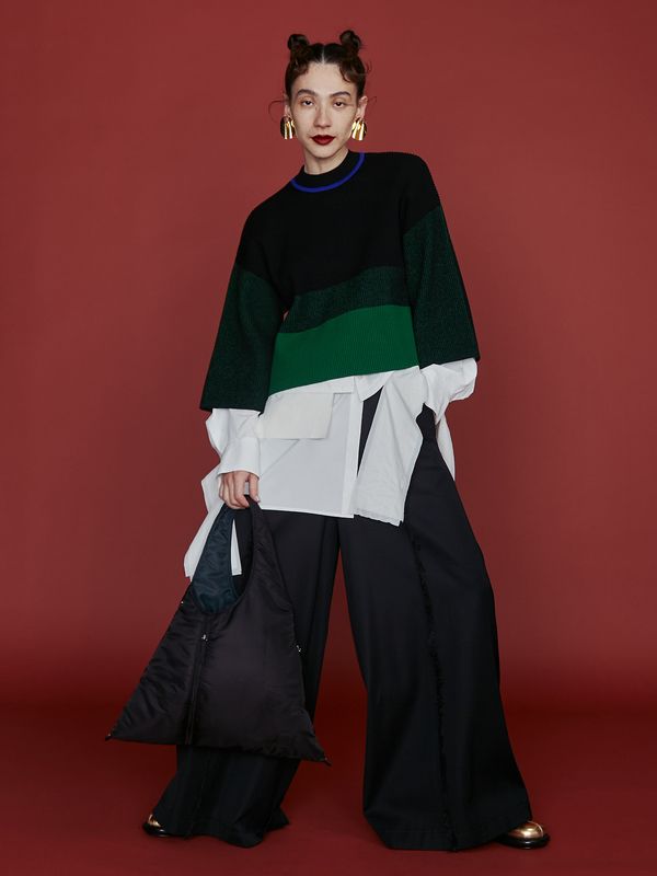 2way padded triangle bag