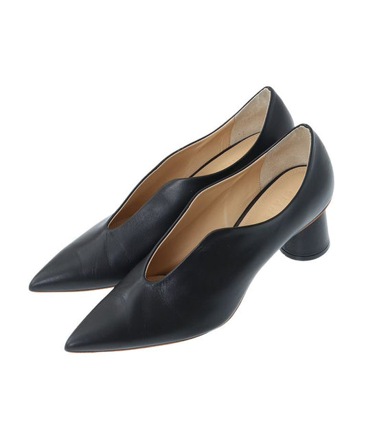pointed wave pumps