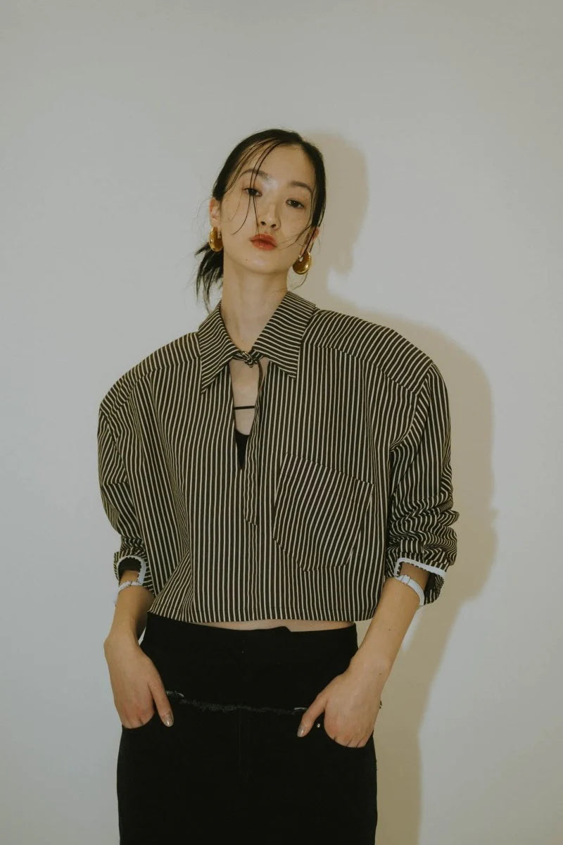 2way stripe volume shirt