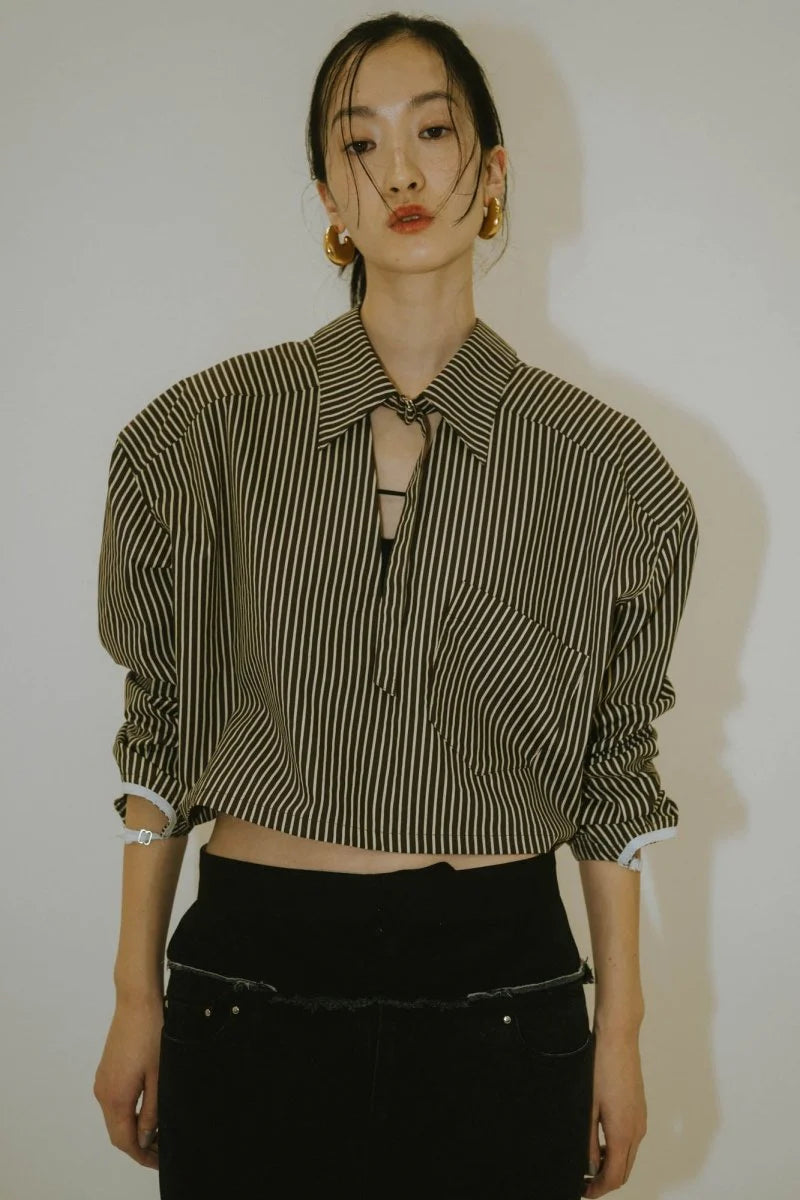 2way stripe volume shirt