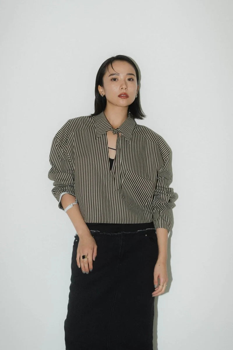 2way stripe volume shirt
