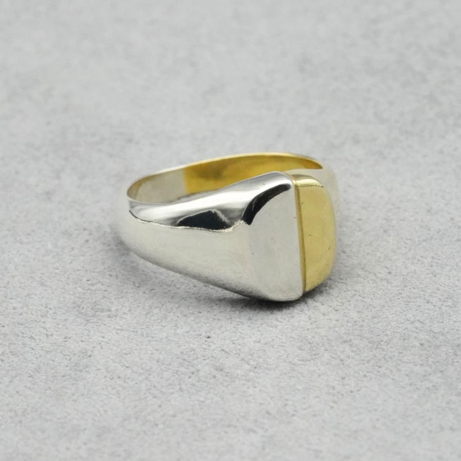 dual natured signet ring
