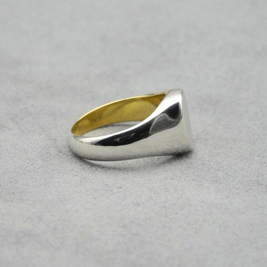 dual natured signet ring