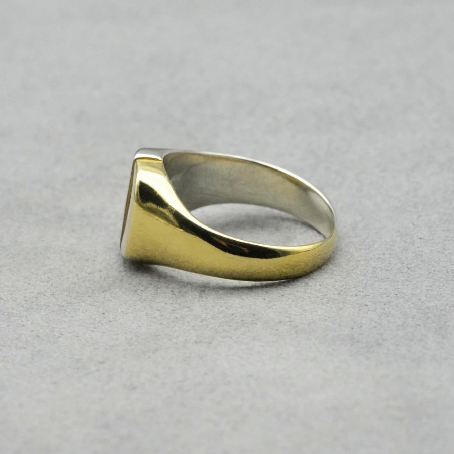 dual natured signet ring