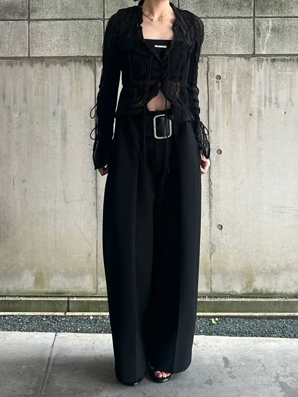 sheer dot slim shirt