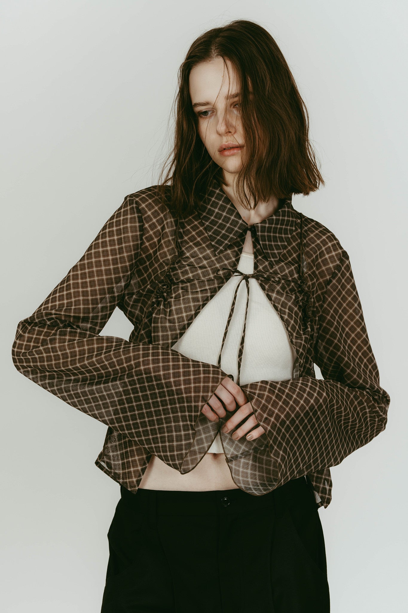 sheer collared blouse