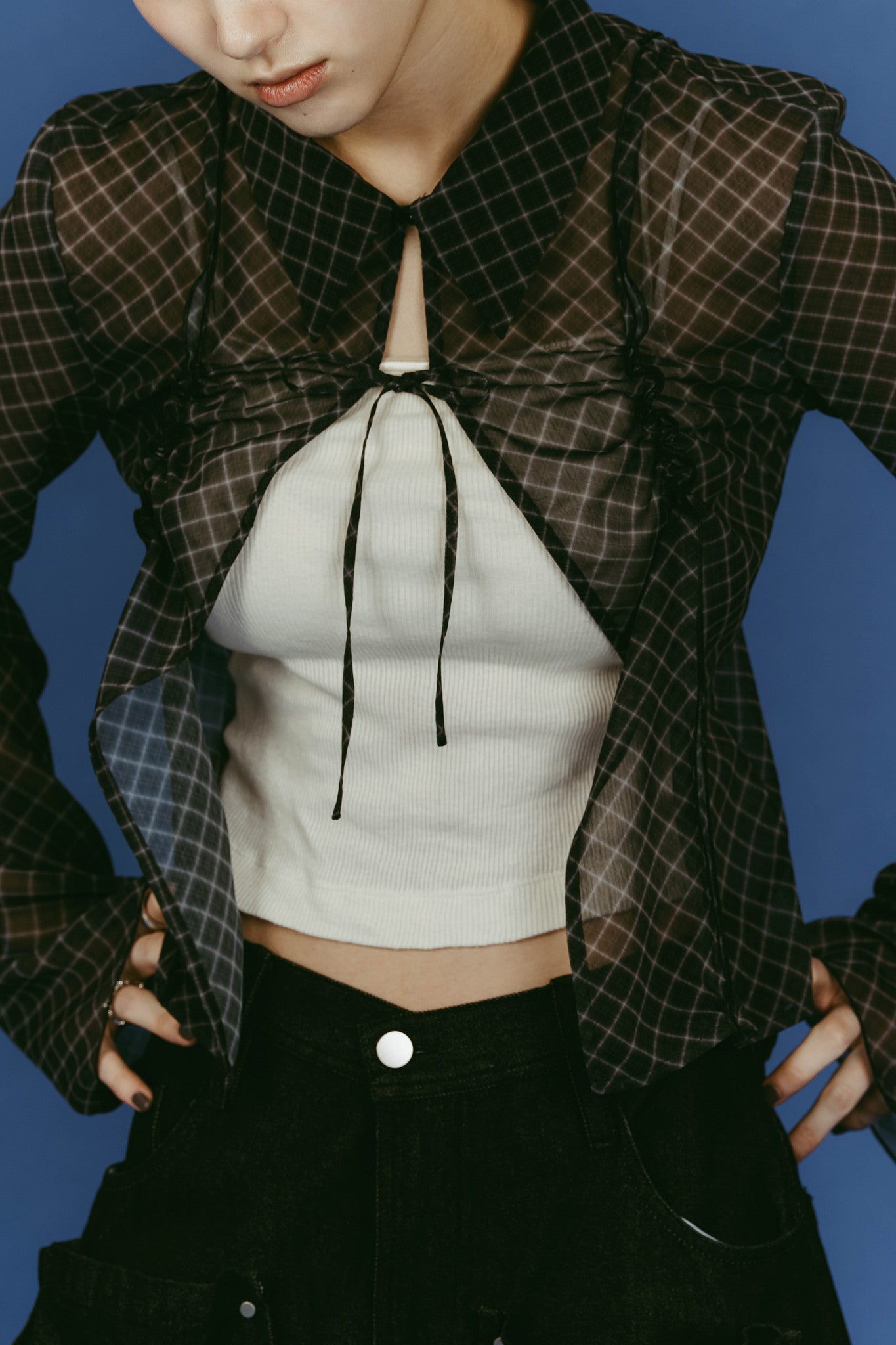 sheer collared blouse